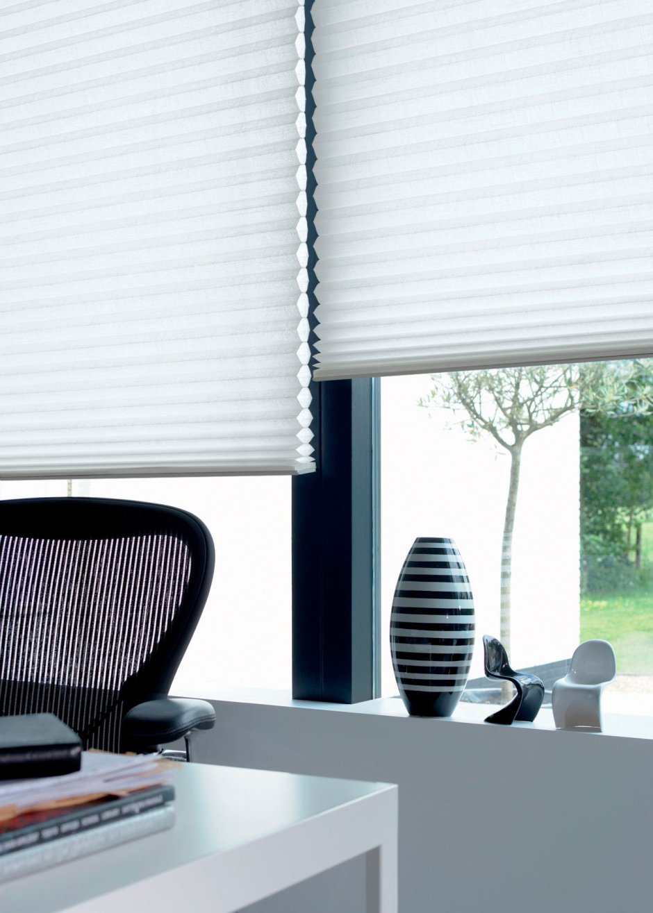 Монреаль дуэт плиссе