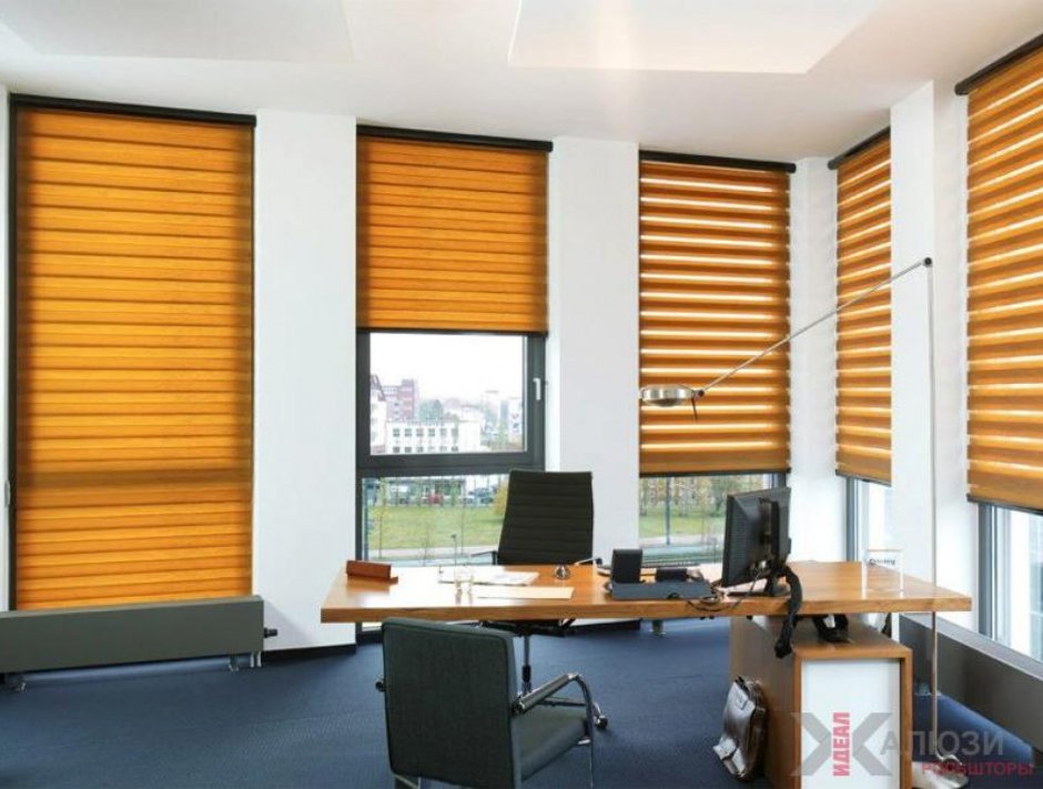 Кассетные рулонные шторы день ночь