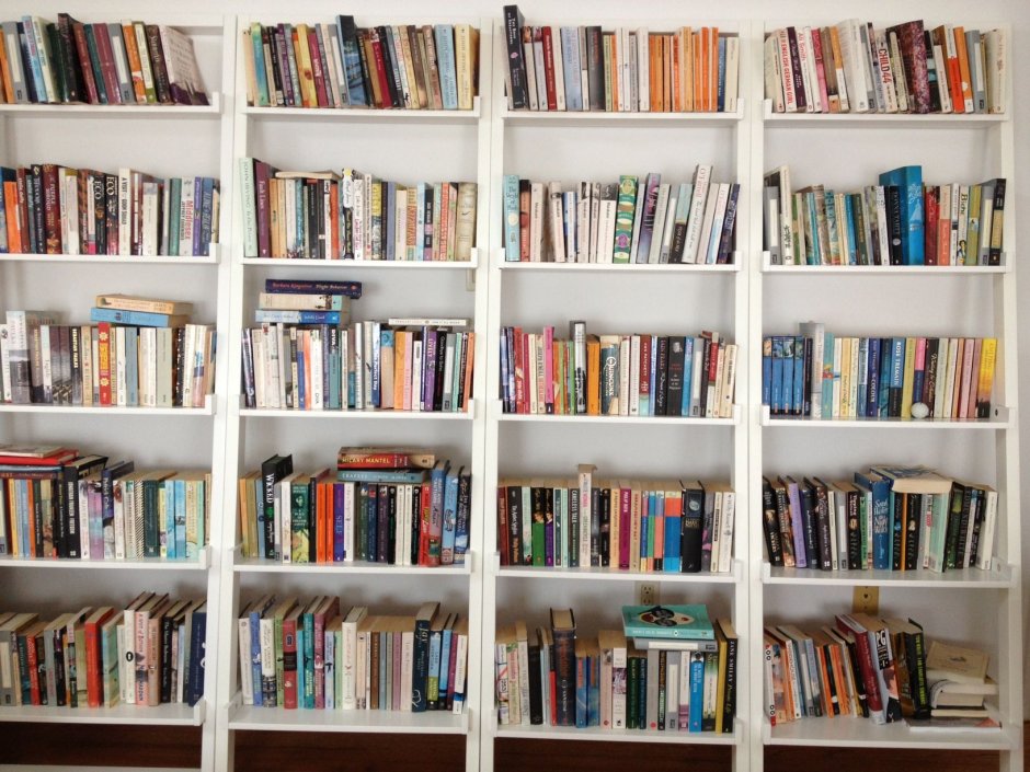 Книжный шкаф во всю стену