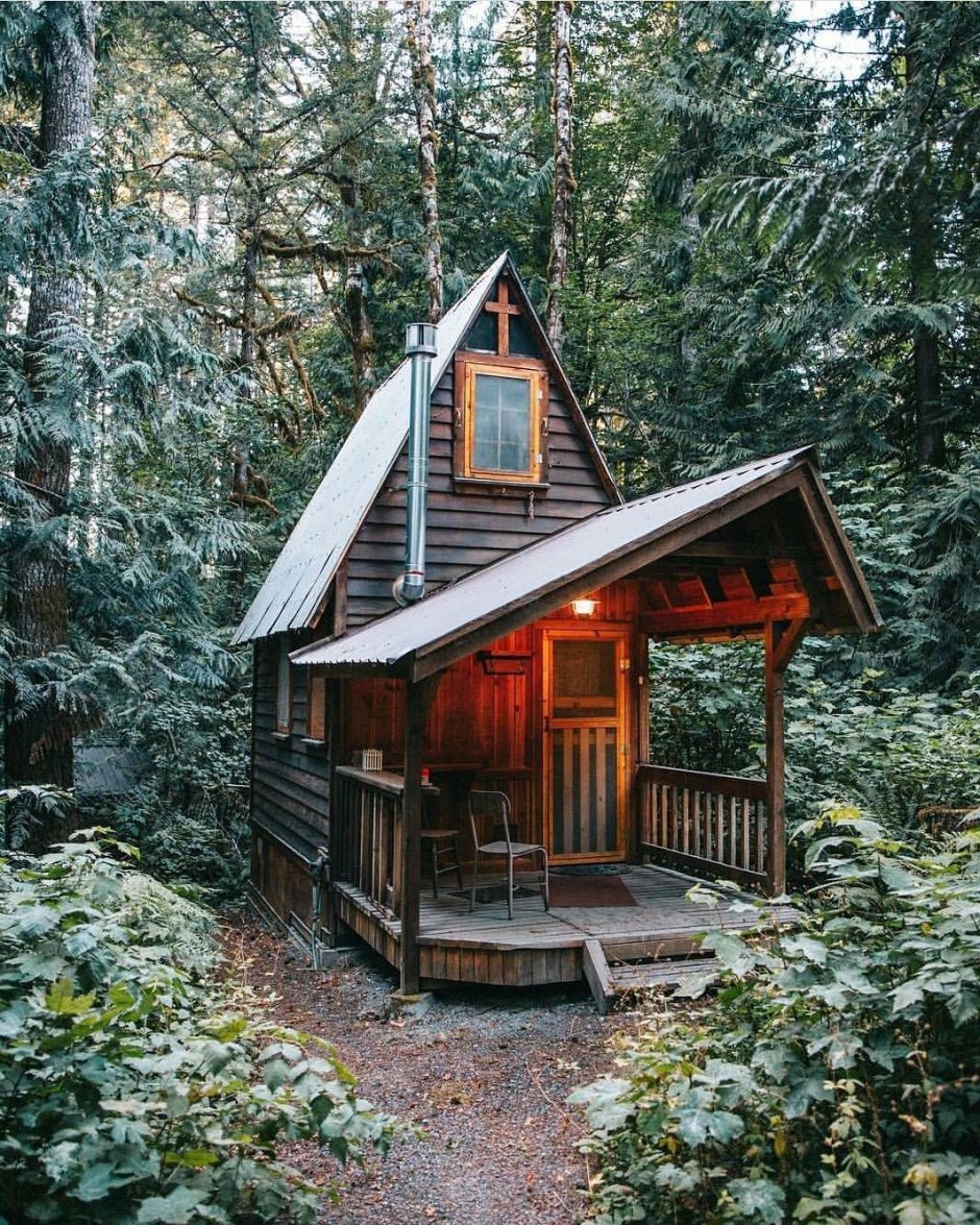 Современный домик в лесу