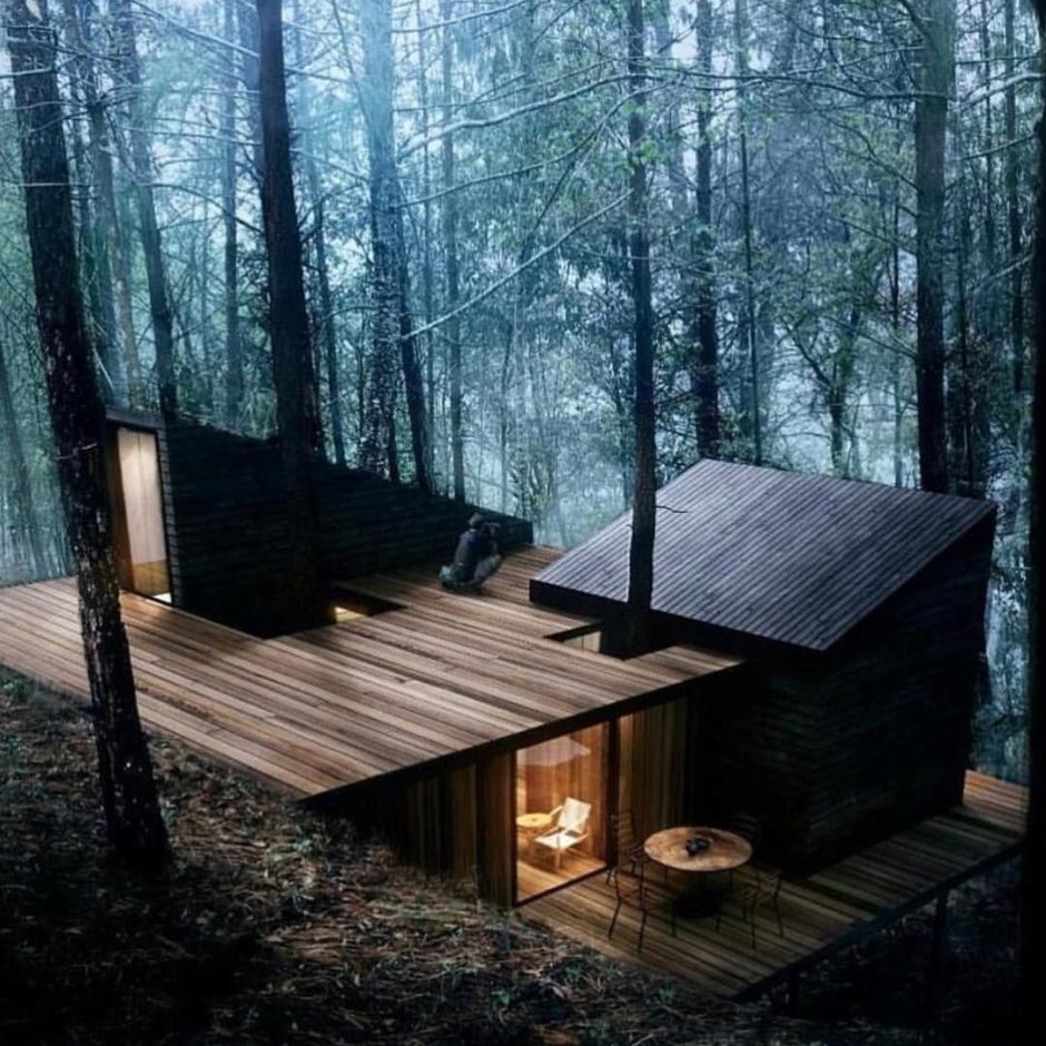 Forest Cabin сруб