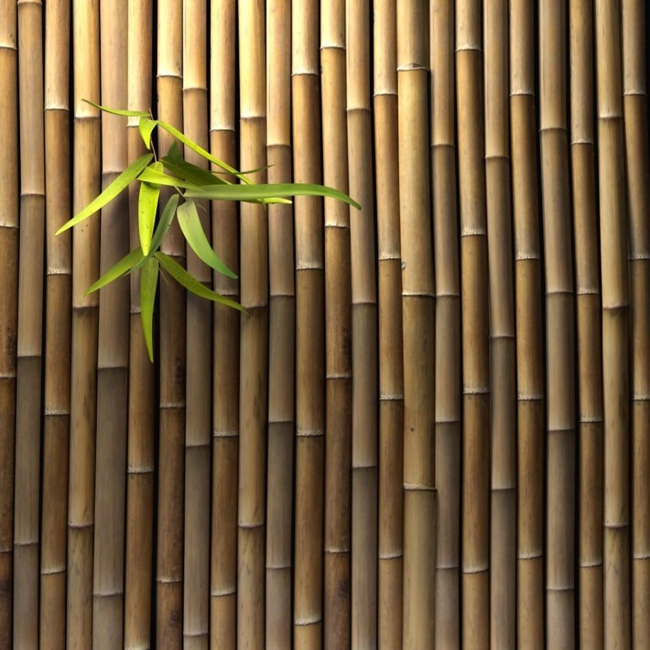 Натуральный бамбук в интерьере