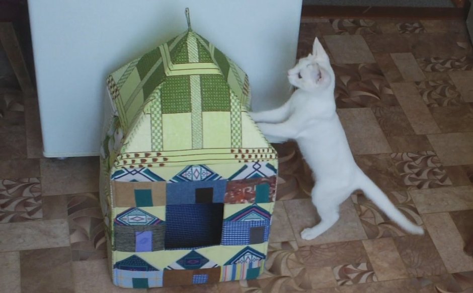 Домик кота для кота