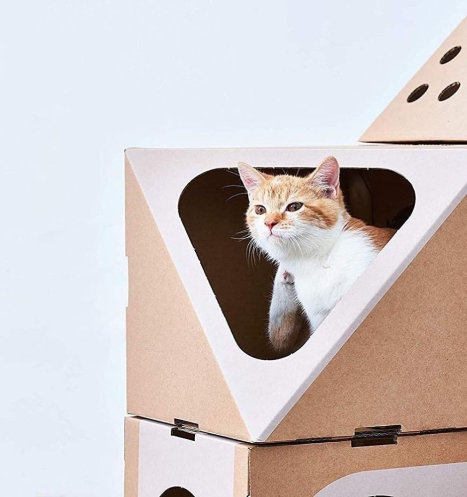 Лабиринт из коробок для кота