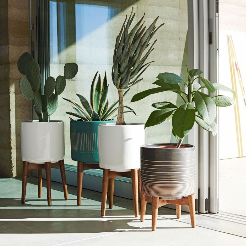 Crate&Barrel кашпо