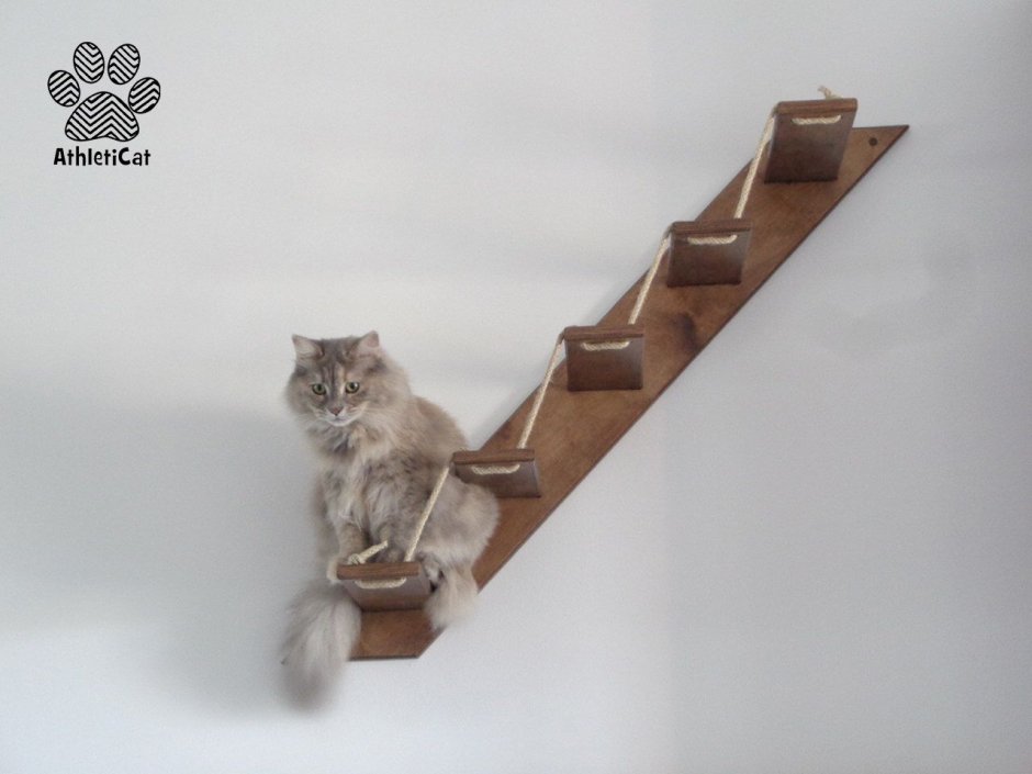 Лестница для кошек
