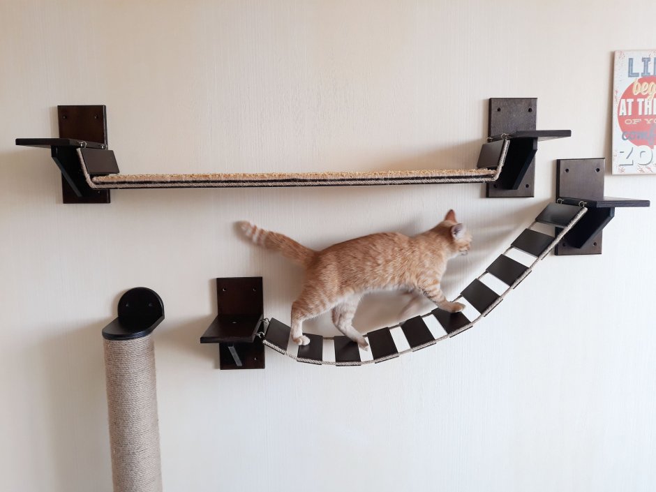 Лестница для кошек
