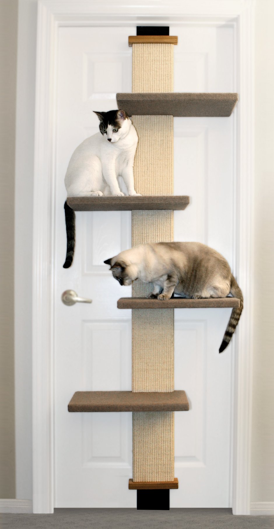 Кошачья лазалка дерево
