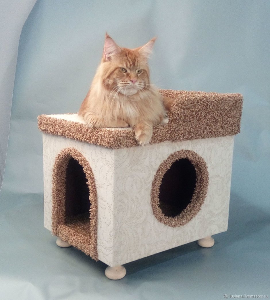 Интересные домики для кошек