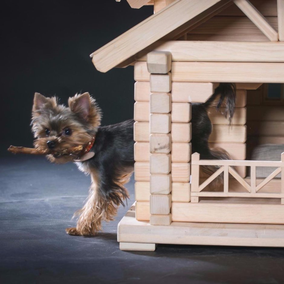 Двухэтажные домики для собак
