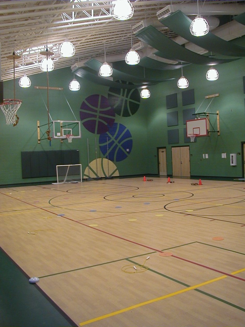 Современные спортивные залы в школах