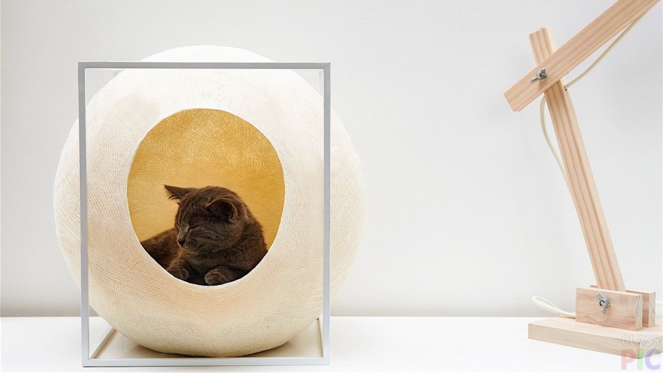 Кошачий дом в виде шара