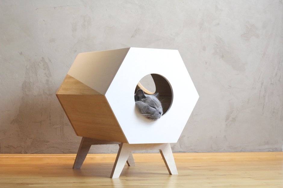 Design Furniture for Cats