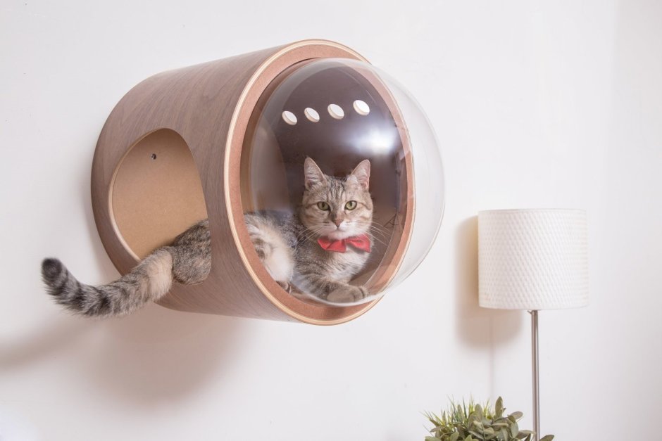 Дом для кошки дизайнерский