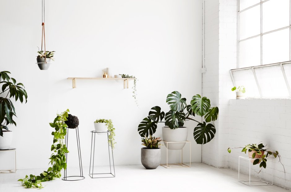 Floral Design интерьер