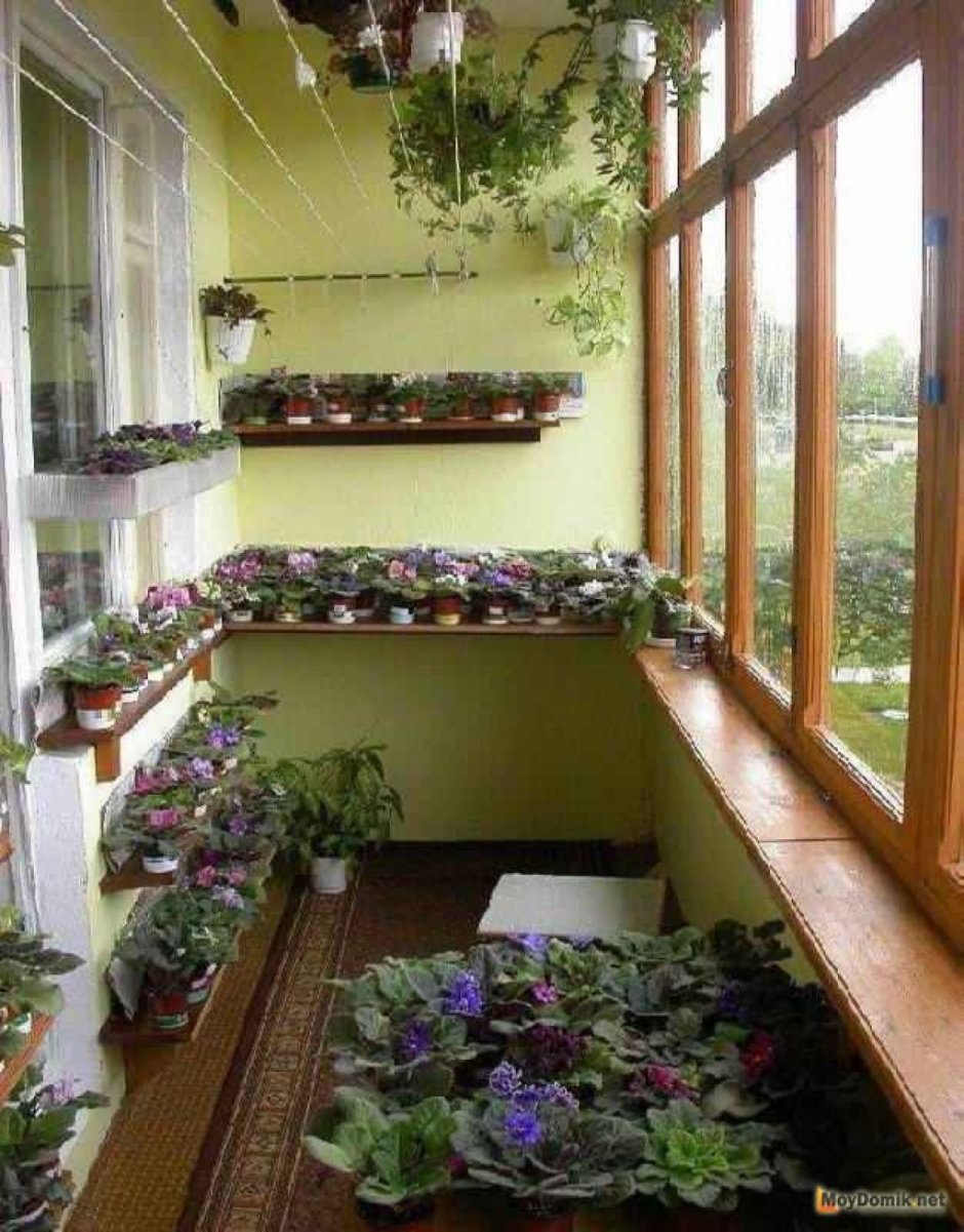 Полки на балкон для цветов