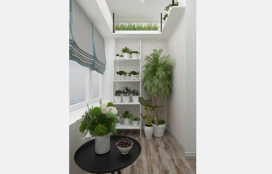 Отличная идея для размещения комнатных растений