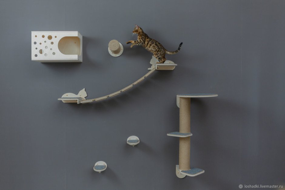 Игровой комплекс для кошек, Jiyoun Kim Studio.