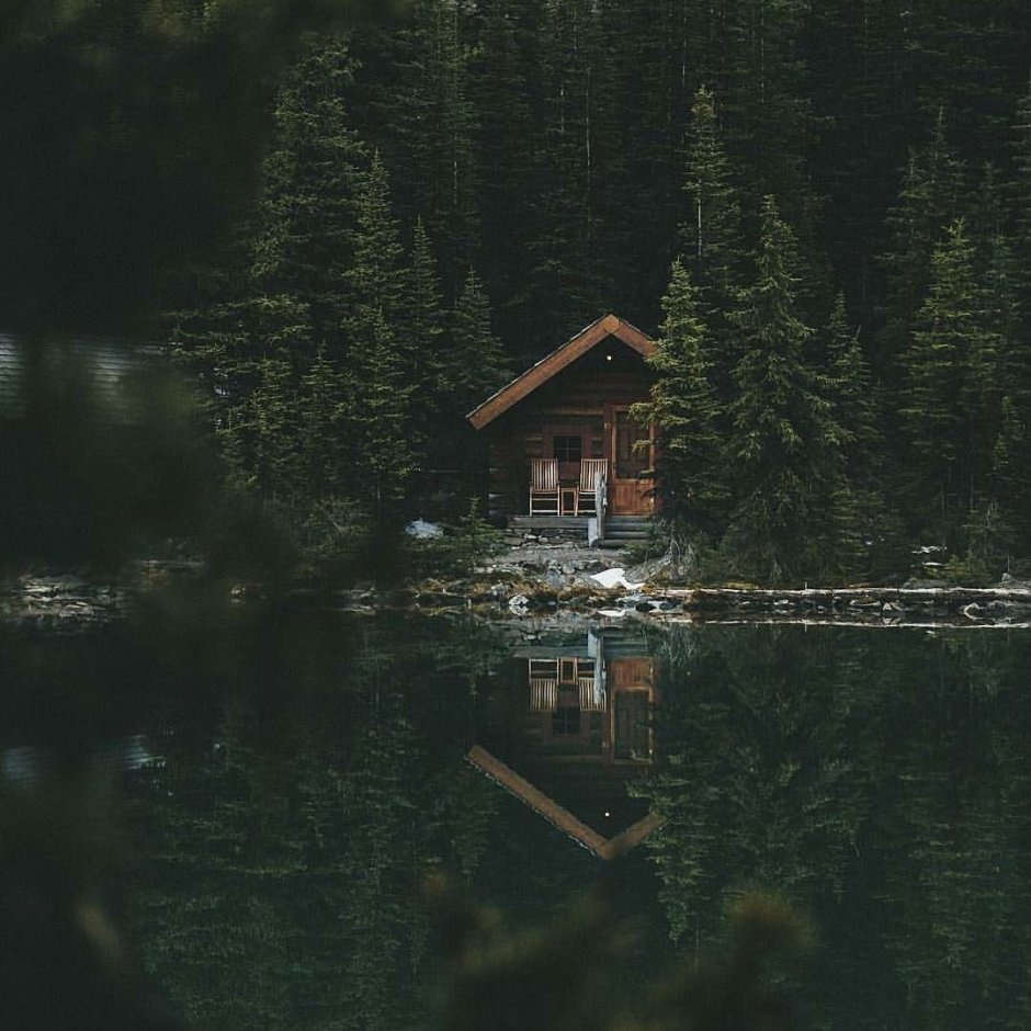 Хижина в лесу у озера
