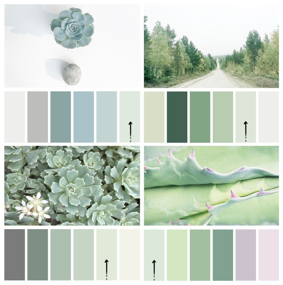 Сочетание цветов серый и зеленый