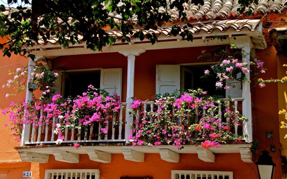 Цветущие балконы