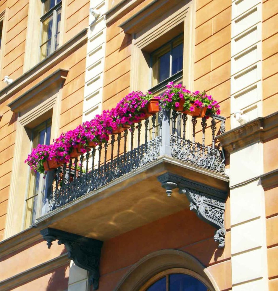 Окна с цветами с улицы