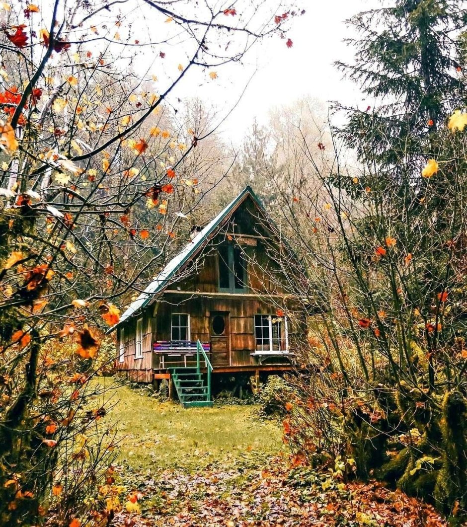 Деревенский домик в лесу