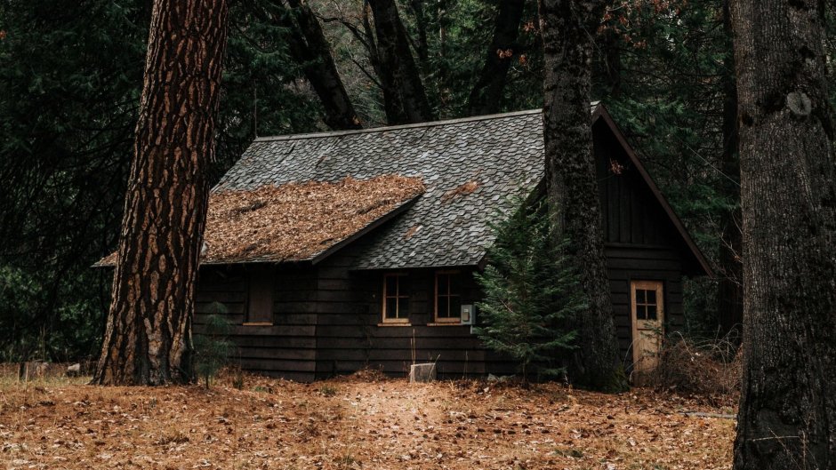 Дом в лесу иллюстрация