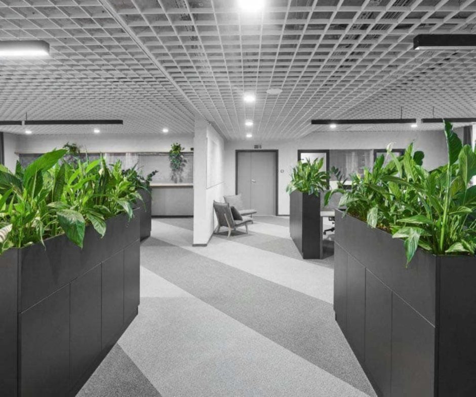Озеленение коридора офиса