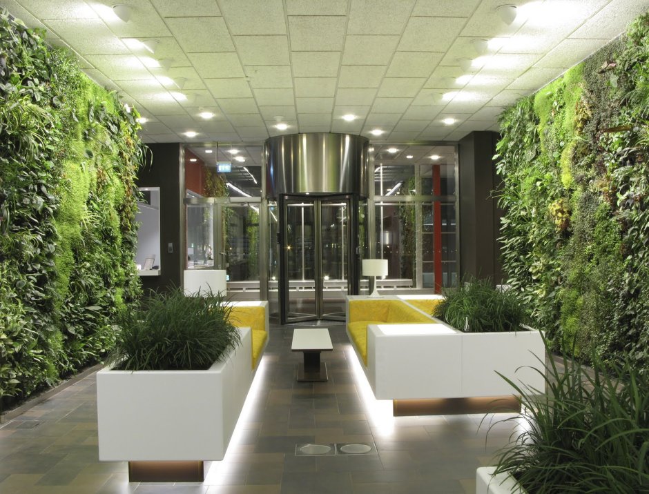 Biophilic Design