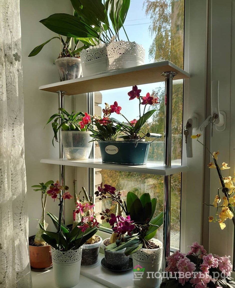 Полки для орхидей с подсветкой