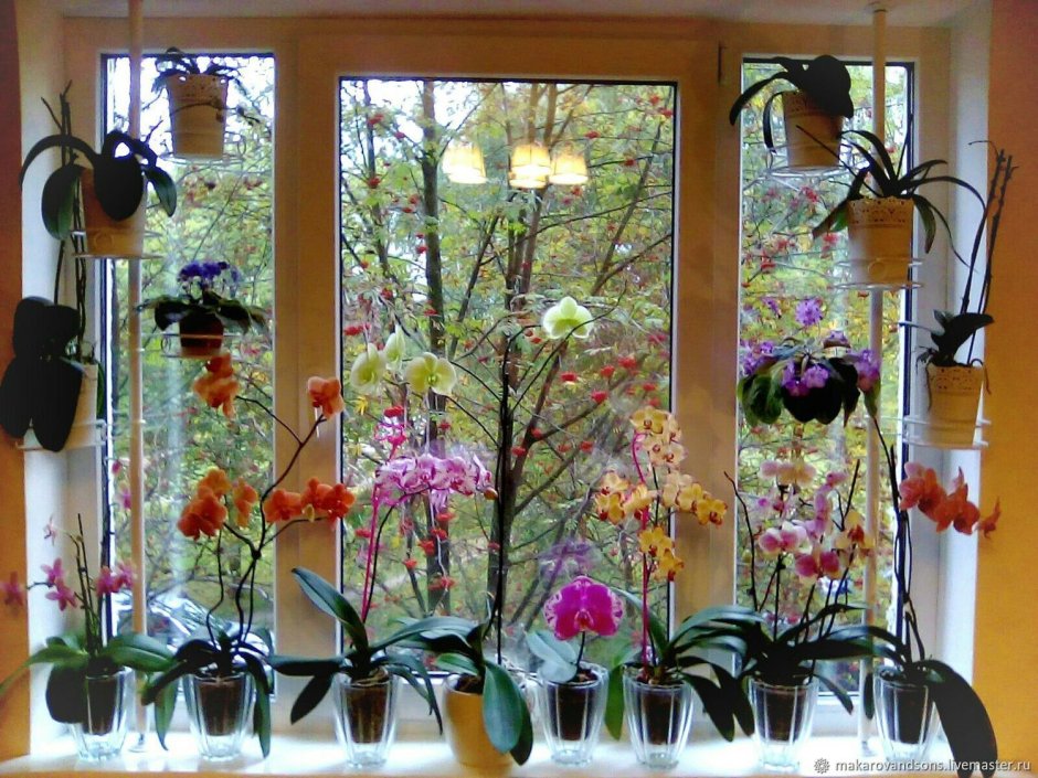 Поддон для орхидей на подоконник