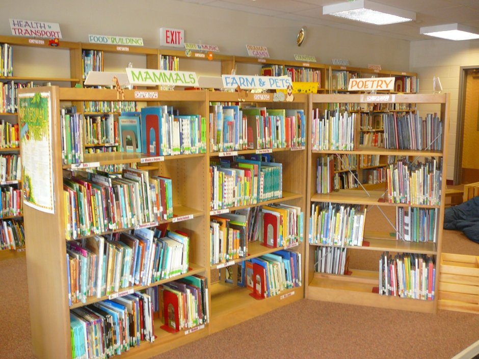 Современная Школьная библиотека