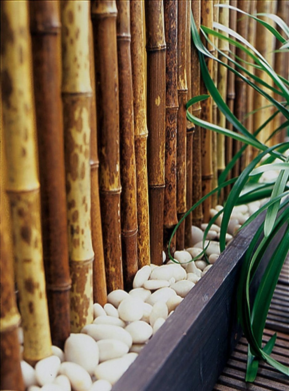 Бамбуковые палочки зеленые
