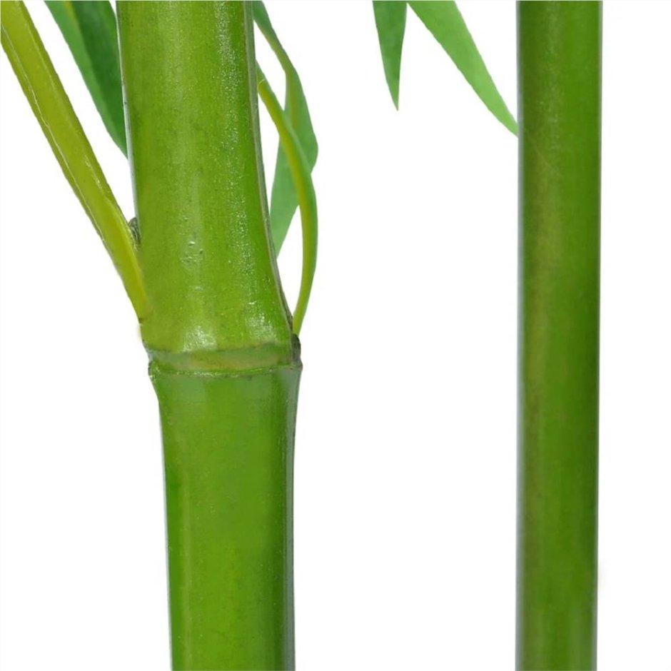 Юкка бамбук