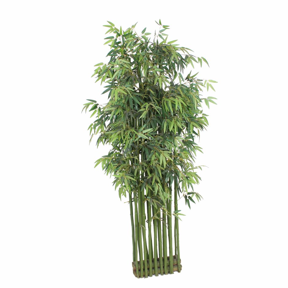 Treez collection бамбук новый