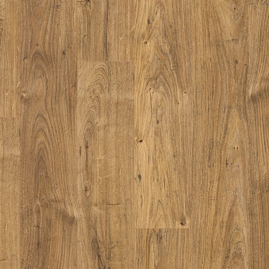 Focus Floor дуб хамсин
