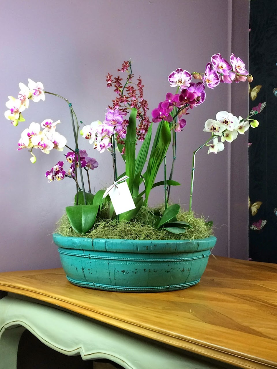 Орхидея в интерьере жилого дома