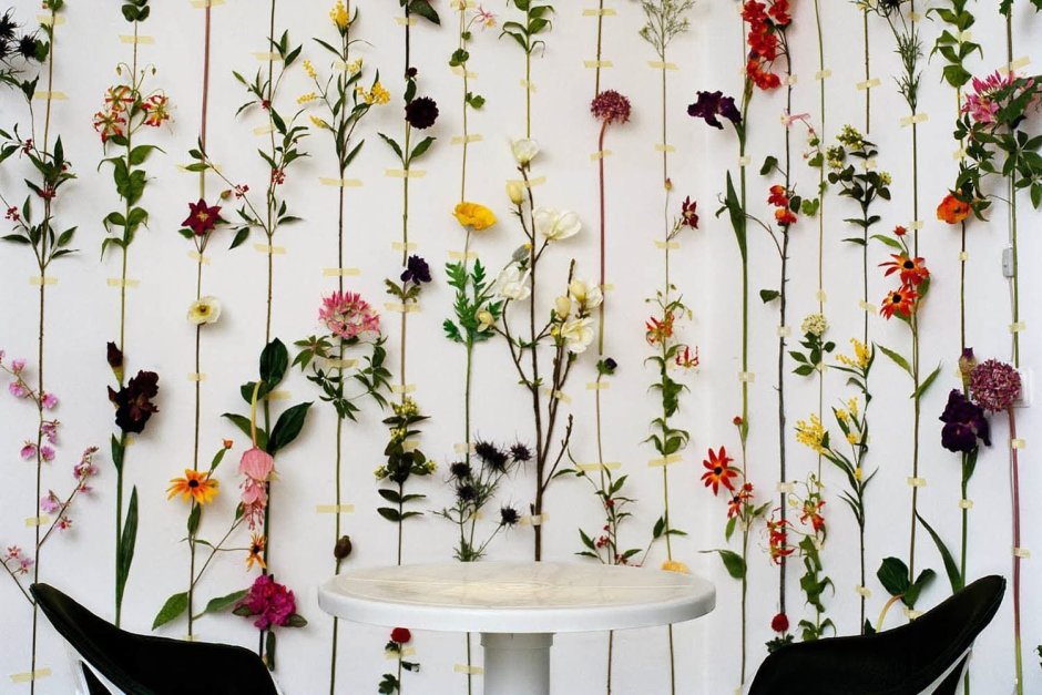 Сухие цветы для декора на стену
