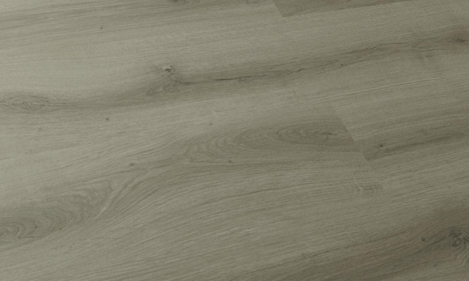 Quick Step Eligna 1896