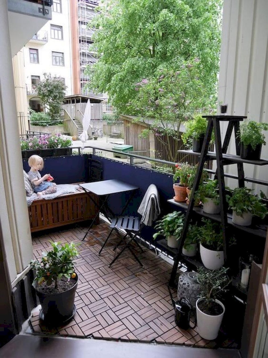 Зимний сад на маленьком балконе