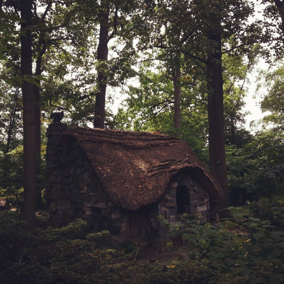 Forest House Хижина в лесу