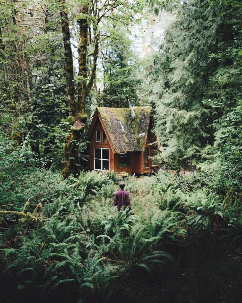Дом Лесной ведьмы