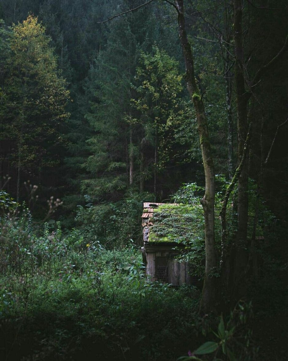Домик Лесной ведьмы