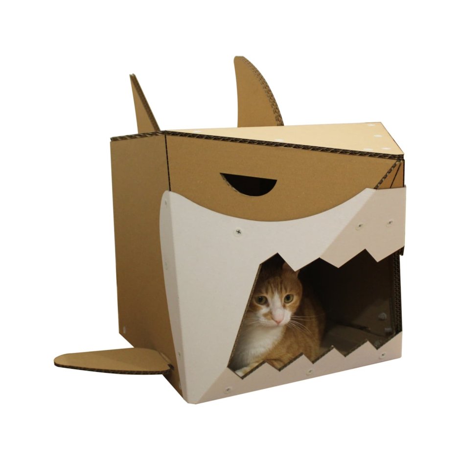 Кот recycle Рекукле