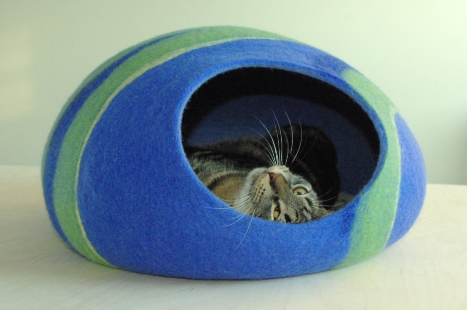 Вяленые домики для кошек
