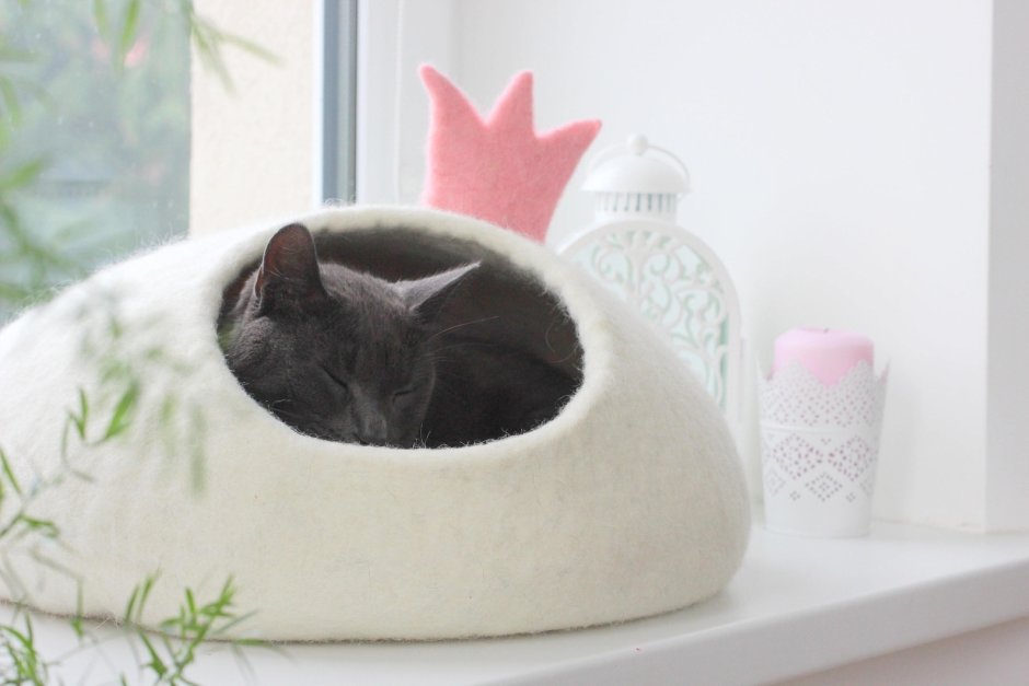Необычные прикольные домики для кошек