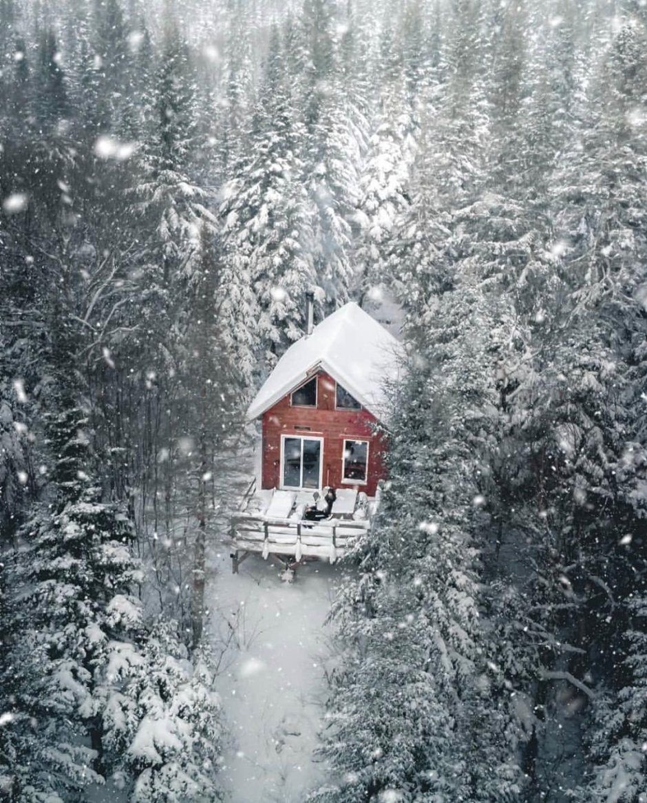 Деревянный дом в лесу зима