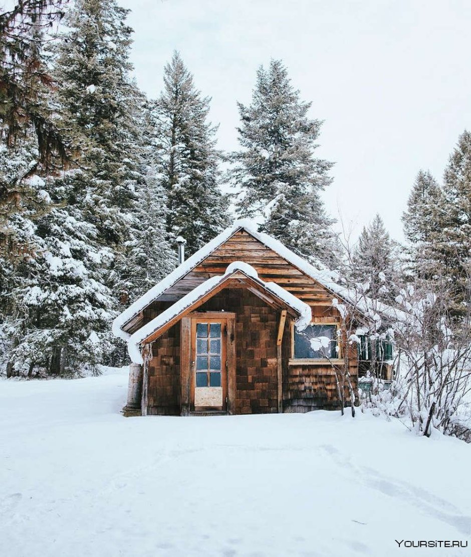Деревянный дом в лесу зимой