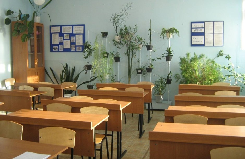 Озеленение кабинета в школе